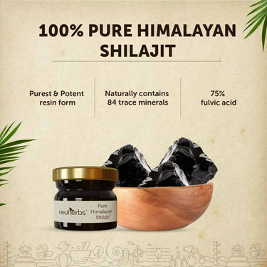 https://cdn.shopify.com/s/files/1/1857/6931/products/XhLEfO05az.jpg?v=1693827685